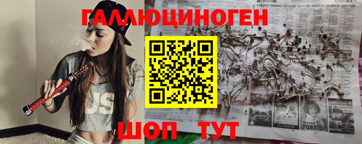 Махачкала  Галлюциногенные грибы Psilocybine cubensis  Вход с VPN  Галлюциногенные грибы MAGIC MUSHROOMS 