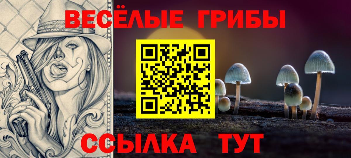Псилоцибиновые грибы GOLDEN TEACHER Махачкала
